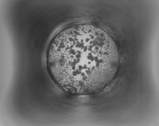 X0000113920053200910221402