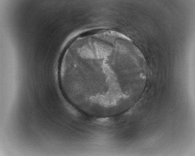 X0000113920054200910221402