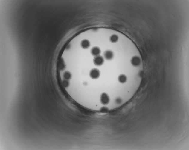 X0000113920055200910221402