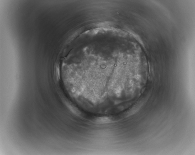 X0000113920061200910221402