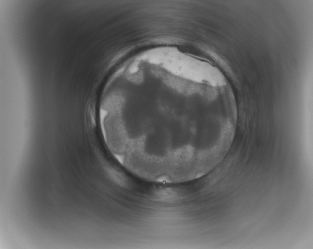 X0000113920062200910221402