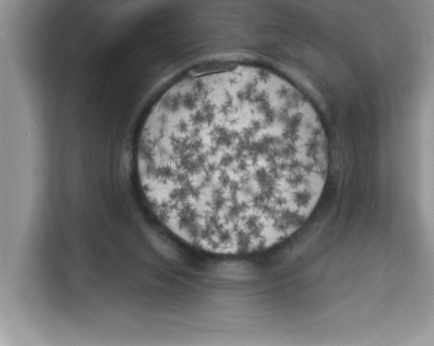 X0000113920063200910221402