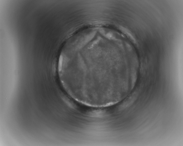 X0000113920065200910221402
