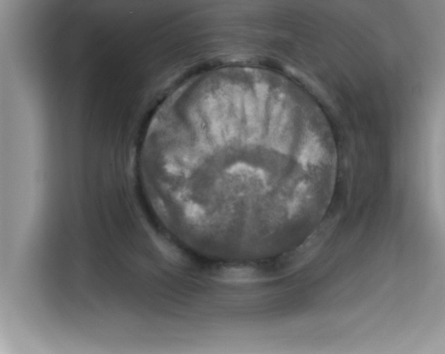 X0000113920066200910221402
