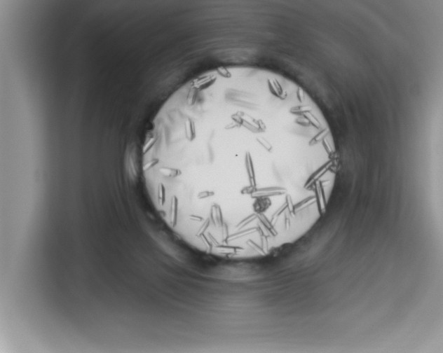 X0000113920069200910221402