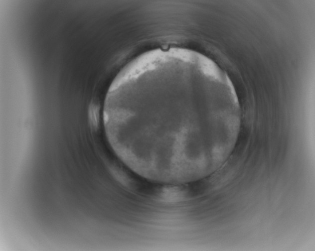 X0000113920070200910221402
