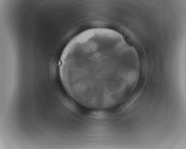 X0000113920071200910221402