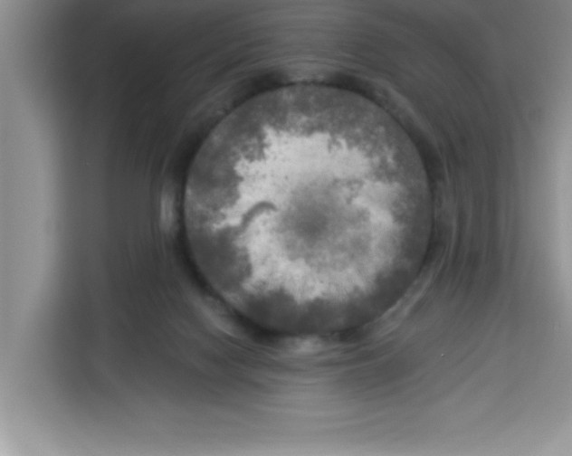 X0000113920074200910221402