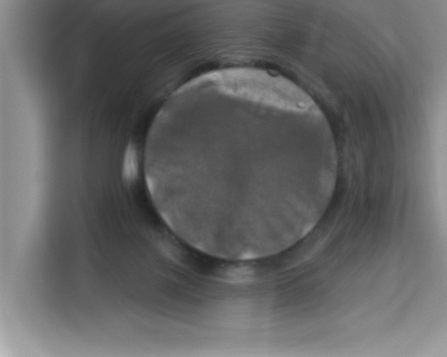 X0000113920075200910221402