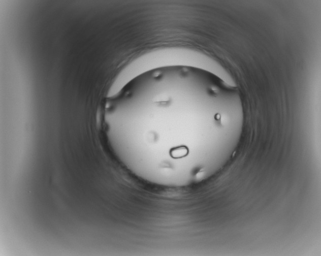 X0000113920076200910221402