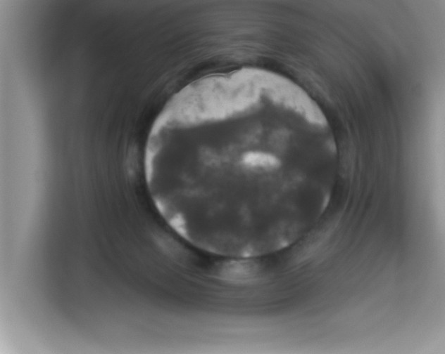 X0000113920077200910221402