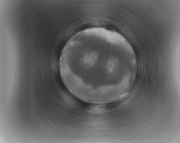 X0000113920078200910221402