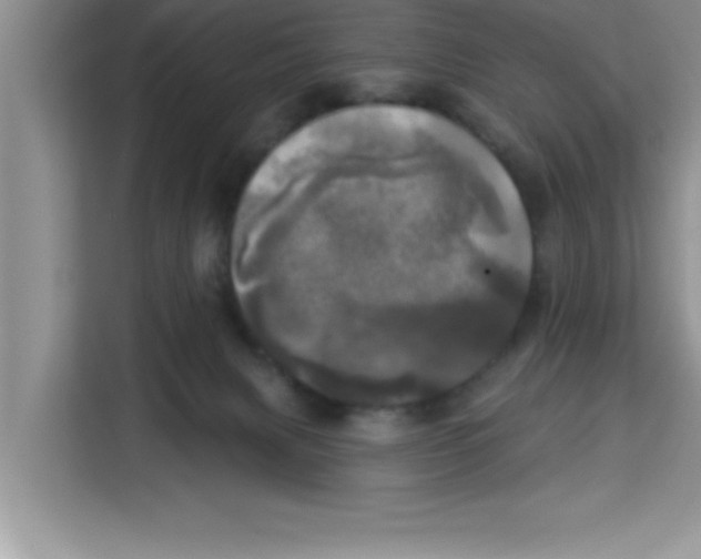 X0000113920079200910221402
