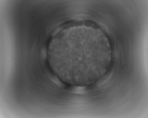 X0000113920081200910221402