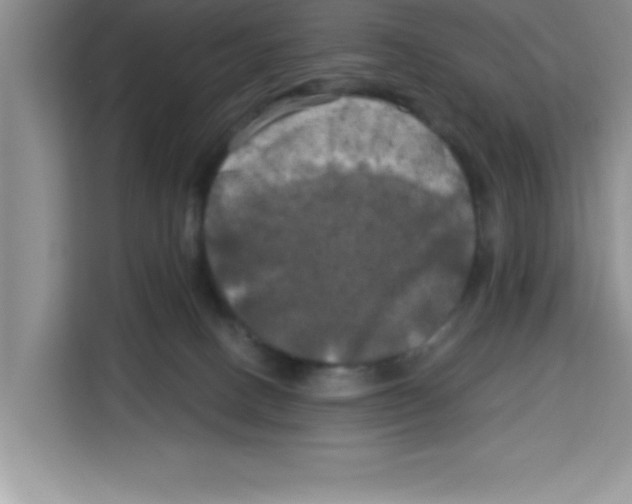 X0000113920082200910221402
