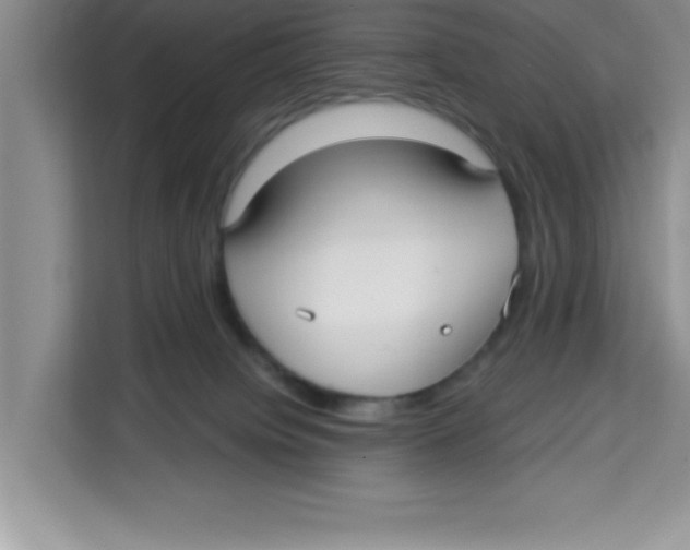 X0000113920084200910221402