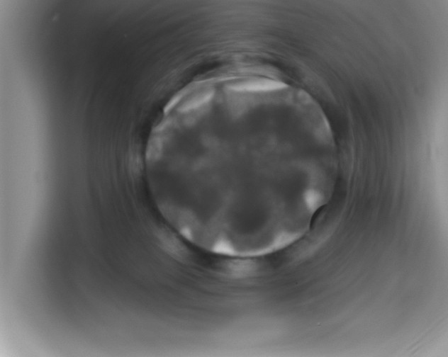 X0000113920085200910221402