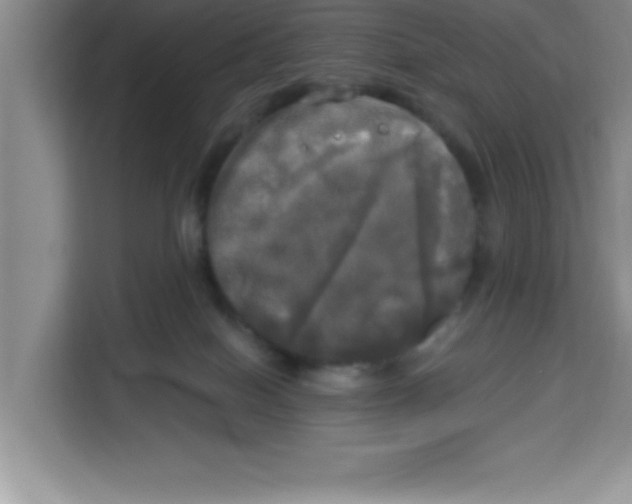 X0000113920086200910221402