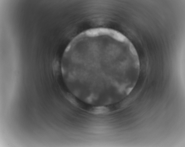 X0000113920087200910221402