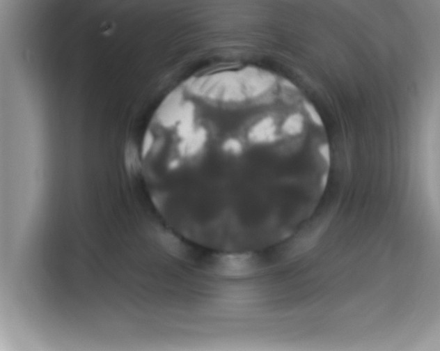 X0000113920089200910221402