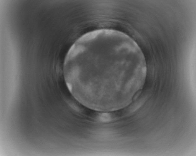X0000113920091200910221402