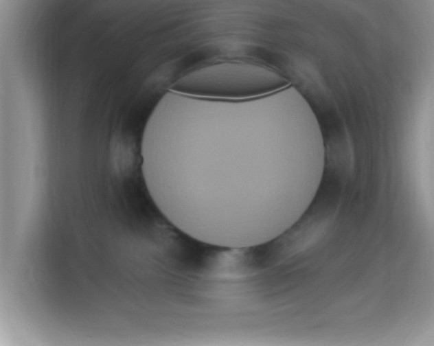 X0000113920092200910221402