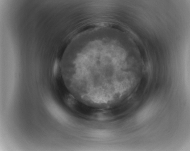 X0000113920095200910221402