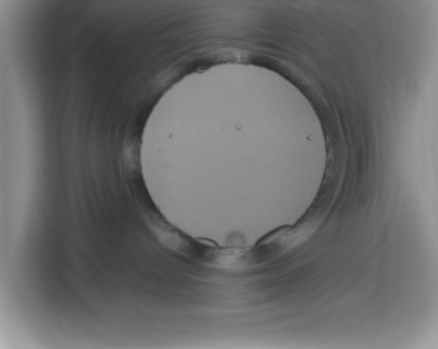 X0000113920096200910221402