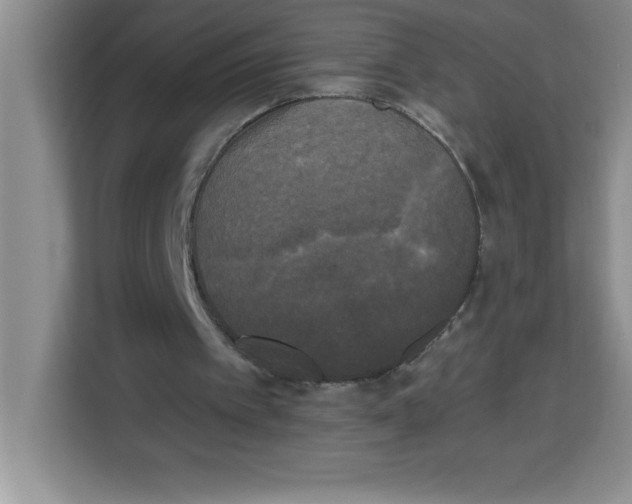 X0000113920097200910221402