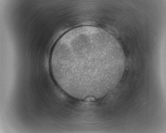 X0000113920098200910221402