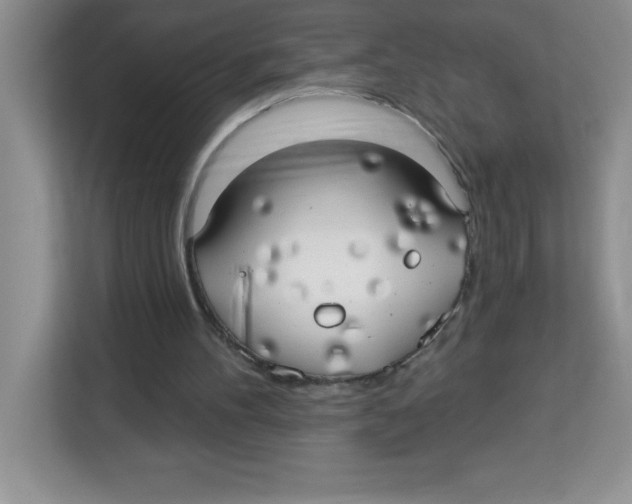 X0000113920100200910221402