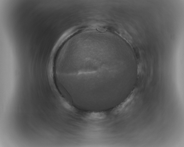 X0000113920101200910221402
