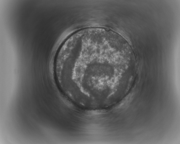 X0000113920103200910221402