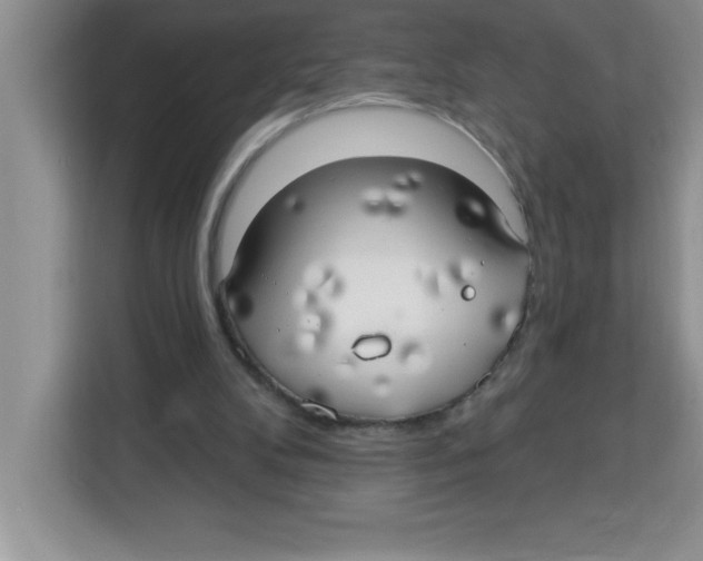 X0000113920104200910221402