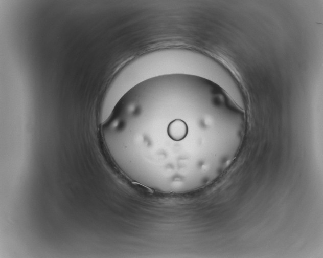 X0000113920105200910221401