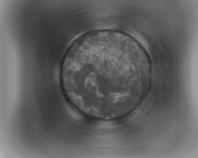 X0000113920107200910221401