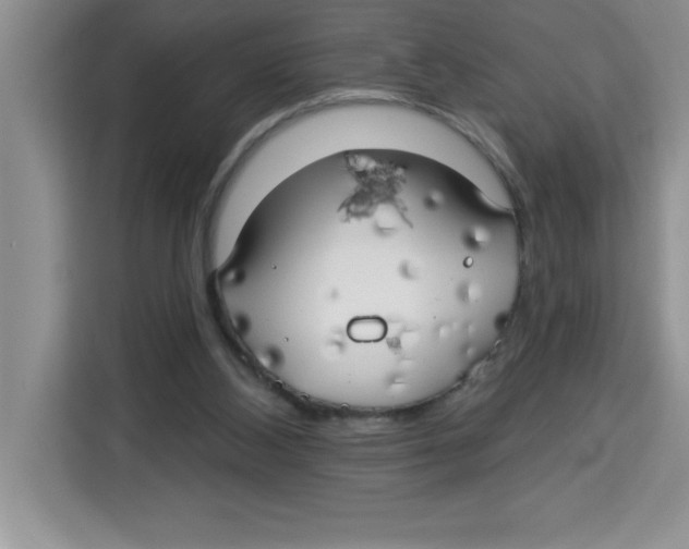X0000113920108200910221401