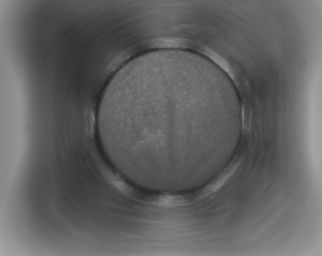 X0000113920109200910221401