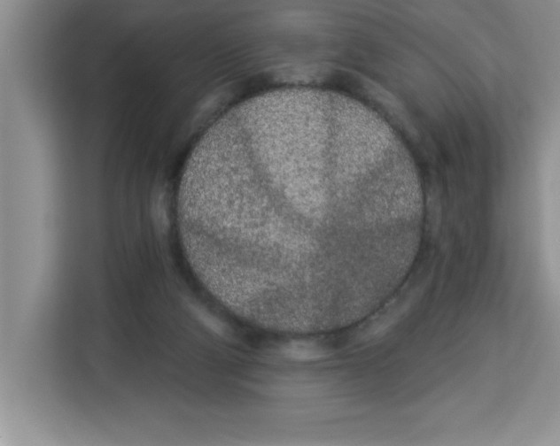 X0000113920114200910221401
