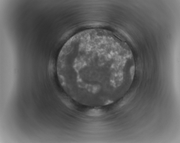 X0000113920119200910221401