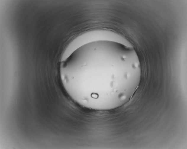 X0000113920128200910221401