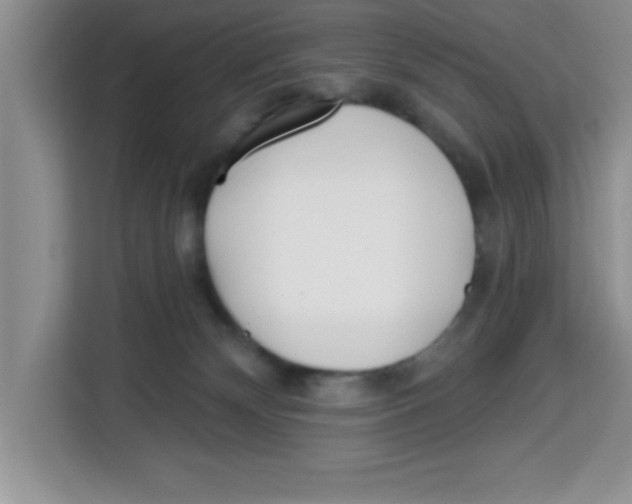 X0000113920132200910221401