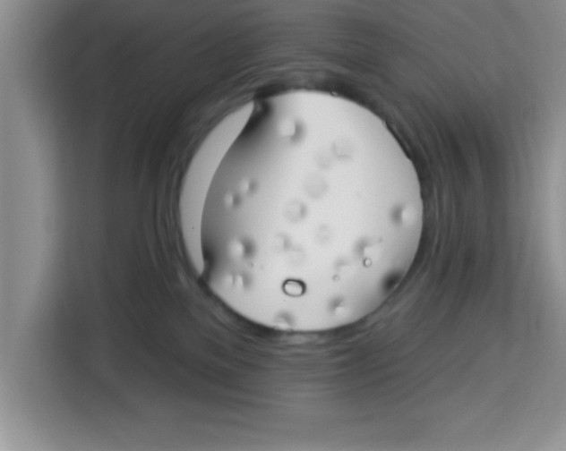 X0000113920137200910221401