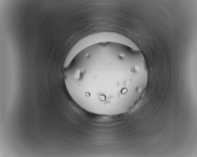 X0000113920140200910221401