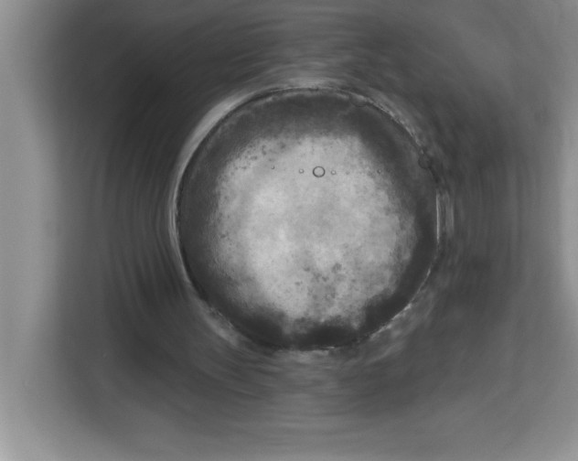 X0000113920147200910221400