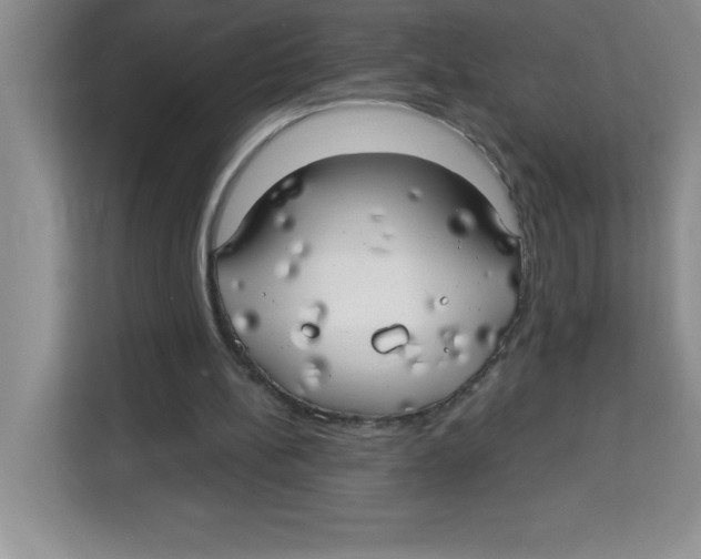 X0000113920148200910221400