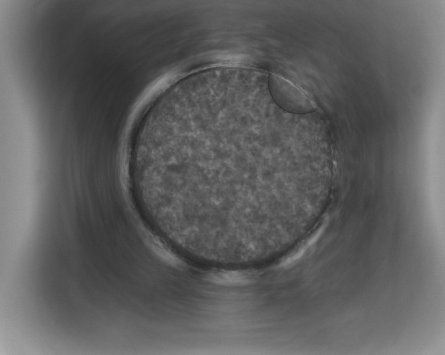 X0000113920149200910221400
