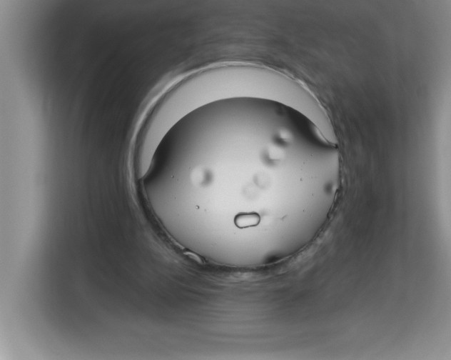 X0000113920152200910221400