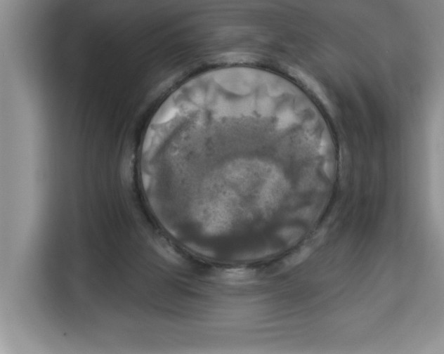 X0000113920153200910221400