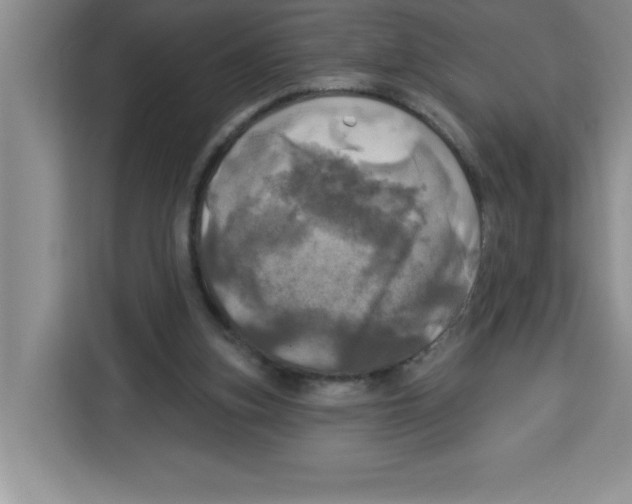X0000113920155200910221400